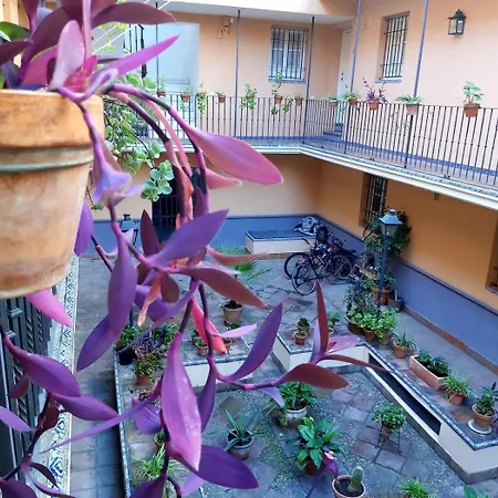 San Bernardo Lux + Parking Sevilla